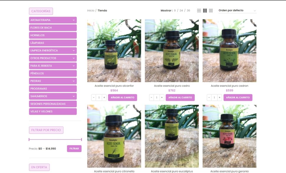 tienda-ser-holistico-970x588