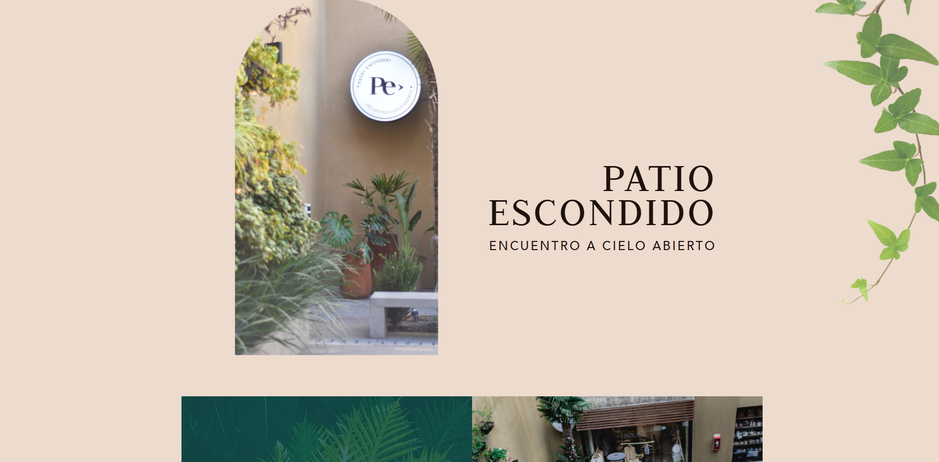 patio escondido 2